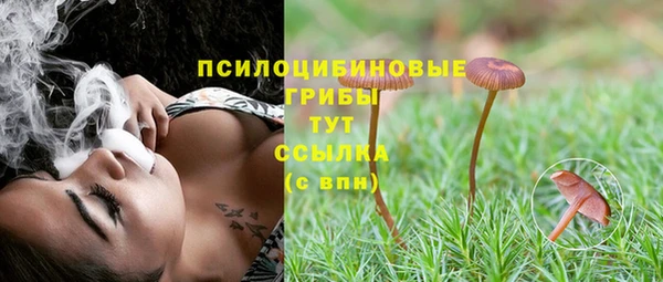 сатива Балабаново