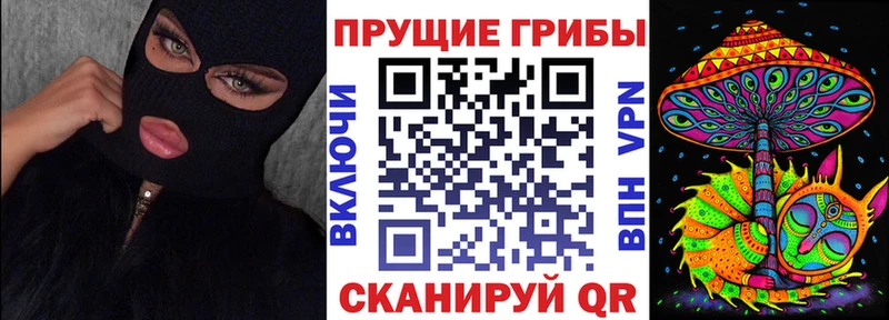 Псилоцибиновые грибы MAGIC MUSHROOMS  это наркотические препараты  Карталы 